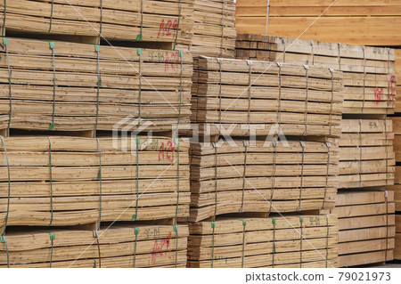 堆在材料儲存區的建築木材 堆在材料儲存區的建築木材 79021973