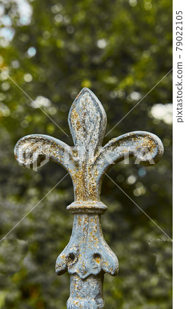 Detail of an artistically forged iron lattice at a gate with a lot of patina Detail of an artistically forged iron lattice at a gate with a lot of patina 79022105