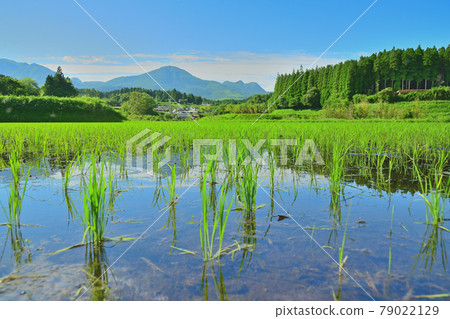 Kuju Ruin Kuju Ruin 79022129