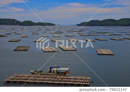 Seto Inland Sea oyster raft in Mushimei Bay 79022147
