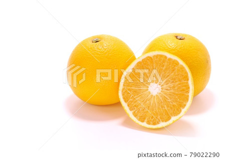 Hassaku orange cut from Wakayama prefecture, bright background Hassaku orange cut from Wakayama prefecture, bright background 79022290