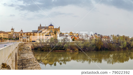 view of Cordoba with Mosque Cathedral, Spain 79022392