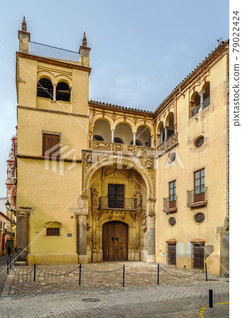 Palacio de Valdehermoso, Ecija, Spain Palacio de Valdehermoso, Ecija, Spain 79022424