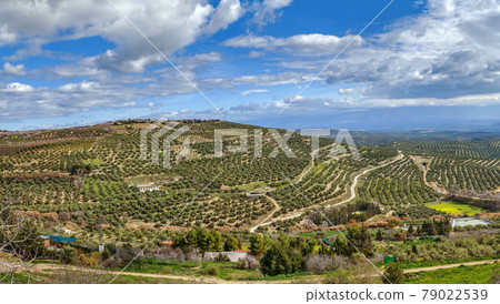 View of the neighborhood of Ubeda, Spain 79022539