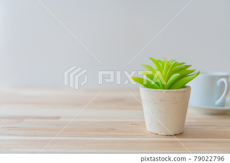 White coffee cup interior white background image material White coffee cup interior white background image material 79022796