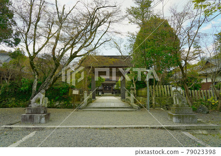 Tsuyama City Nakayama Shrine 79023398