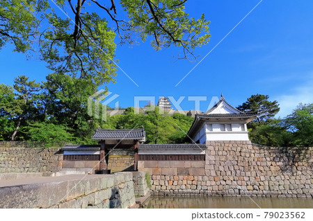 [香川縣] 清新的綠色丸龜城（現存天守閣12座，著名的石牆城） 79023562