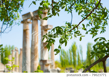Turkey: Ephesus archaeological site, an ancient heritage that continues to stand today Turkey: Ephesus archaeological site, an ancient heritage that continues to stand today 79023771