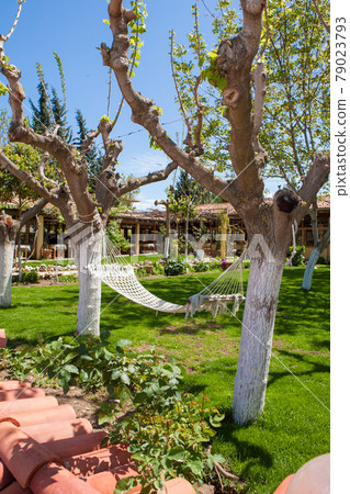 Anatolian restaurant where you can eat Turkish shish kebab 79023793