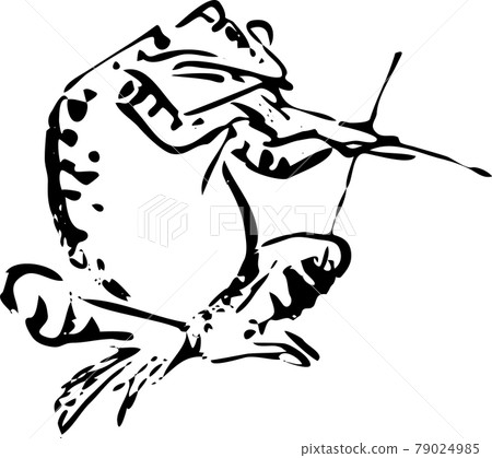 鳥獸漫畫：拉小提琴的青蛙 79024985