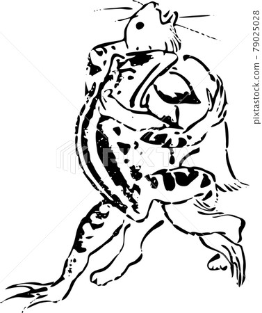 Birds and Beasts Caricature: Rabbits and Frogs Taking Sumo Birds and Beasts Caricature: Rabbits and Frogs Taking Sumo 79025028