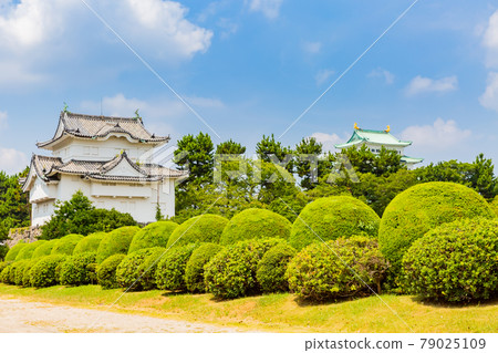 Nagoya Castle Nagoya Castle 79025109