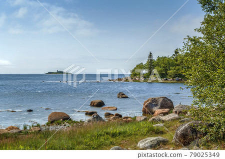 Shore of the White Sea, Russia 79025349