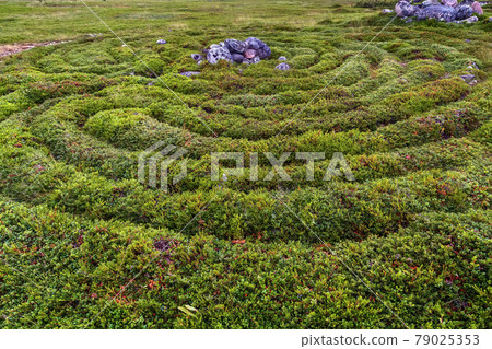 Big Zayatsky island, Russia 79025353