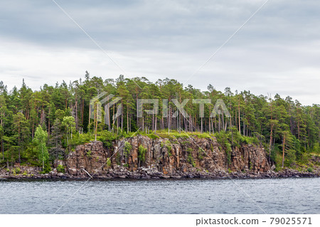 Forest on coast of Valaam island, Russia Forest on coast of Valaam island, Russia 79025571
