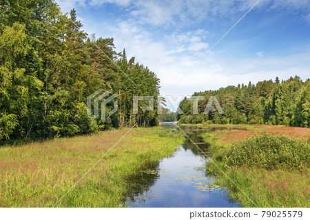 Landscape on Valaam Island, Russia Landscape on Valaam Island, Russia 79025579