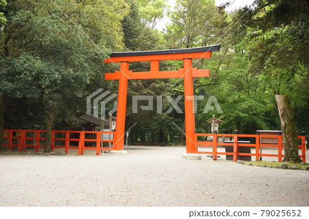 Shimogamo神社的鳥居 Shimogamo神社的鳥居 79025652