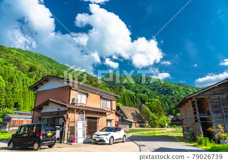 "Gifu prefecture" Shirakawago Gassho village, rice planting season "Gifu prefecture" Shirakawago Gassho village, rice planting season 79026739