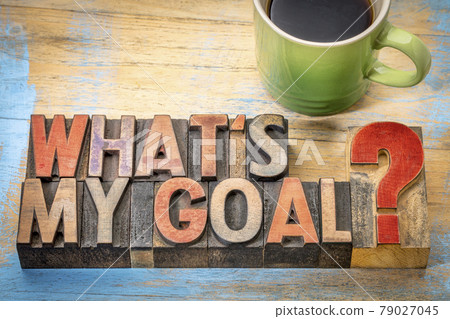 What is my goal? What is my goal? 79027045