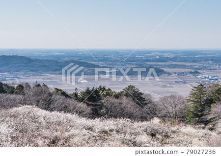 Mt. Tsukuba Bairin Mt. Tsukuba Bairin 79027236