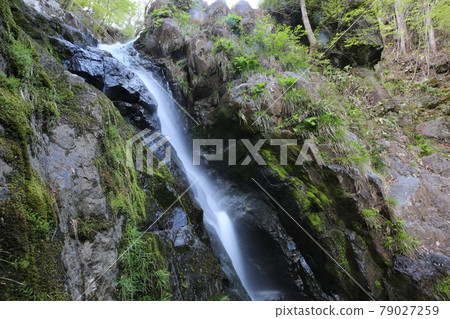 Kuroiwa Falls Kuroiwa Falls 79027259