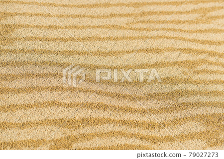 Fumon after the rain in Tottori Sand Dunes 79027273