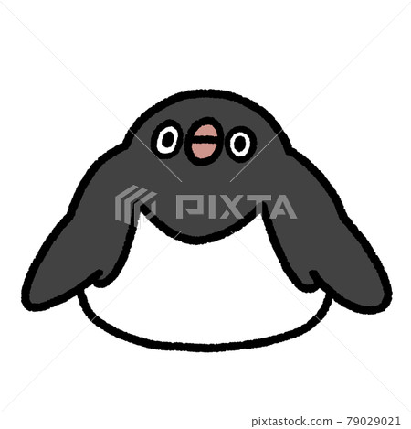 躺著的阿德利企鵝 79029021