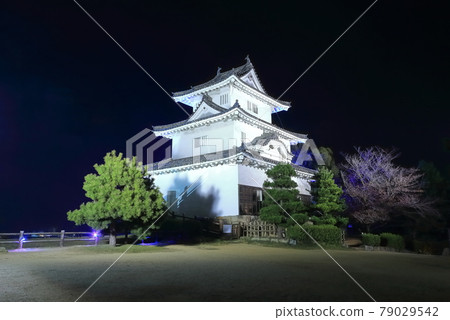 [香川縣]丸龜城夜景（點燈） 79029542