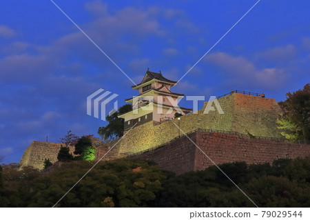 [Kagawa Prefecture] Night view of Marugame Castle (lighted up) 79029544
