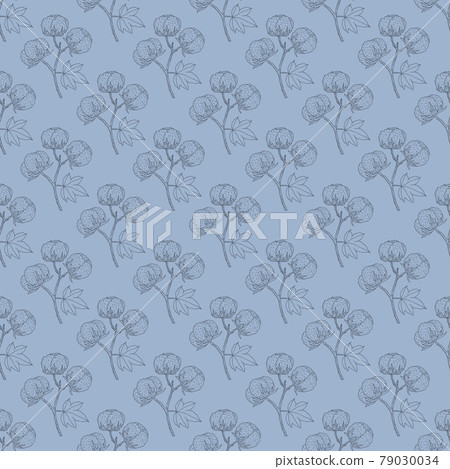 Cotton plant floral seamless pattern Cotton plant floral seamless pattern 79030034