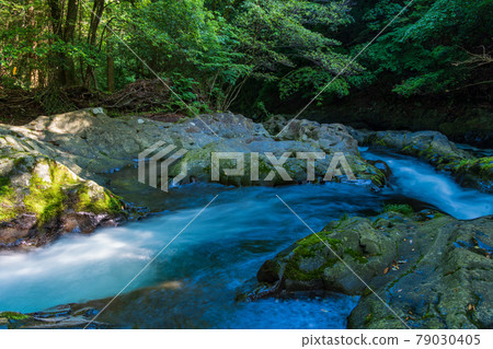 【靜岡縣】鮮綠的伊豆滑澤峽谷 79030405