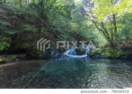 【靜岡縣】鮮綠的伊豆滑澤峽谷 【靜岡縣】鮮綠的伊豆滑澤峽谷 79030419