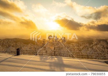 It stains in the setting sun It stains in the setting sun 79030855