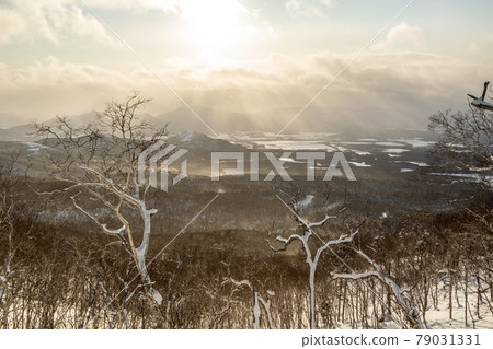 Snowy afternoon 79031331