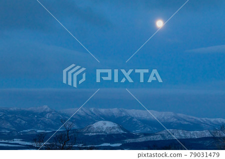 Moonlit snowy mountains Moonlit snowy mountains 79031479