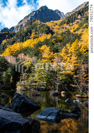 秋葉Minguin池塘 秋葉Minguin池塘 79031774