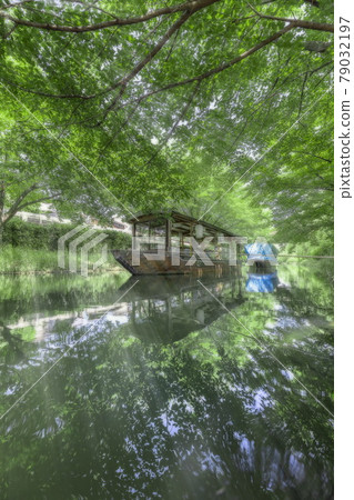 鮮綠伏見十石船 鮮綠伏見十石船 79032197