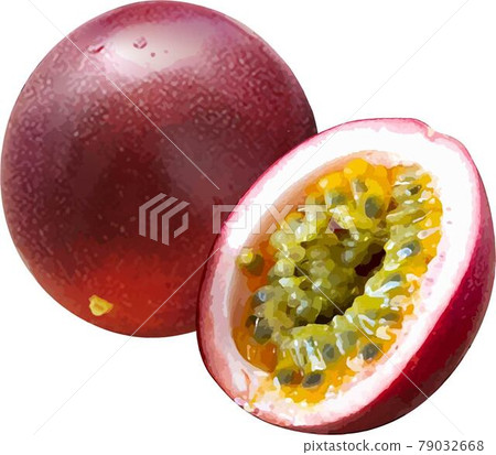 百香果-1 百香果-1 79032668