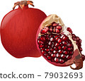 Pomegranate-1 79032693