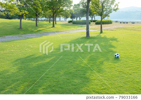 Park turf, kokage, soccer ball, walk through the sunlight 79033166
