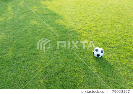 Park turf, kokage, soccer ball, walk through the sunlight 79033167