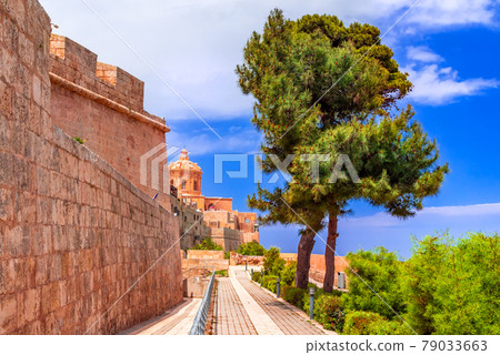 Mdina, fortified city on Malta island 79033663