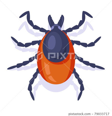 forest encephalitis tick on a white background. insect dangerous to humans. 79033717