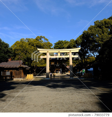 明治神宮本宮前的鳥居 79033779