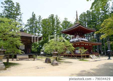 和歌山縣高野町高野山團上加蘭三舞堂和托托 79034429