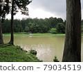 被大自然環繞的池塘景觀 79034519