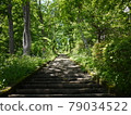 許多綠色和長樓梯 79034522