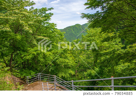 View from Kawaji Dam Dam Observatory Passage Nikko City 79034885