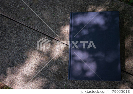 Sunbeams and a book 79035018