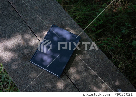 陽光和一本書 79035021